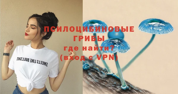MESCALINE Ельня