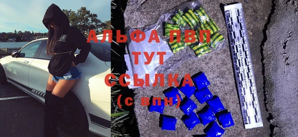 a pvp Дмитриев