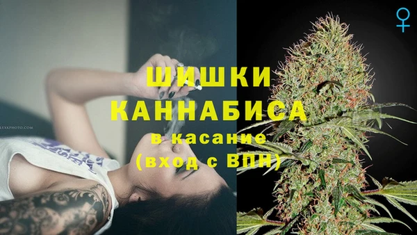 мет Дмитров