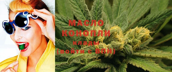мет Дмитров