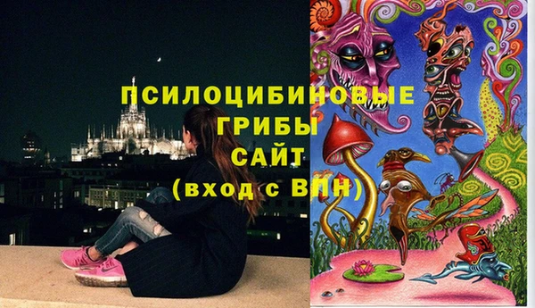 a pvp Елизово