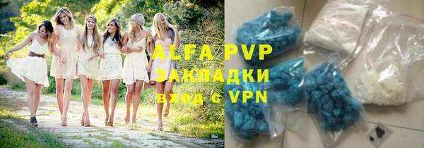 ГАЛЛЮЦИНОГЕННЫЕ ГРИБЫ Елабуга